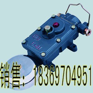 供应声光组合电铃！BAL1-127G矿用隔爆型声光组合电铃 矿用防爆电铃  