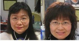 供应脱发治疗机构哪家专业|郑州脱发治疗机构【富发科技】