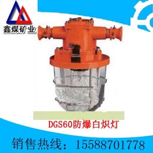 供应DGS60防爆白炽灯