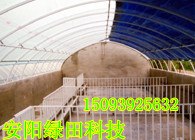 菱镁大棚价格|菱镁大棚特点