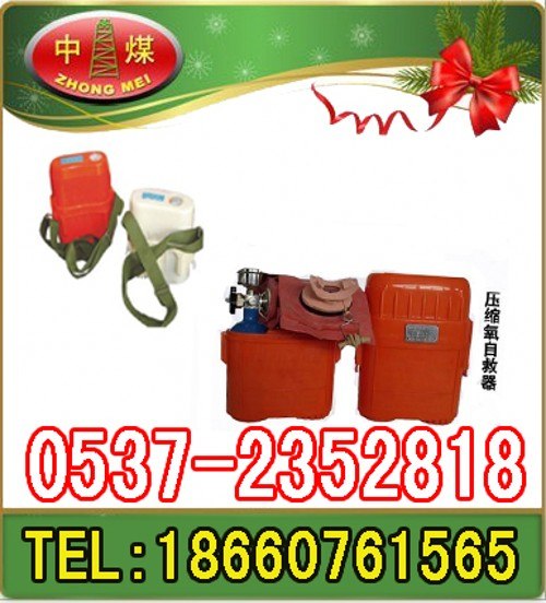供应ZY45压缩氧自救器