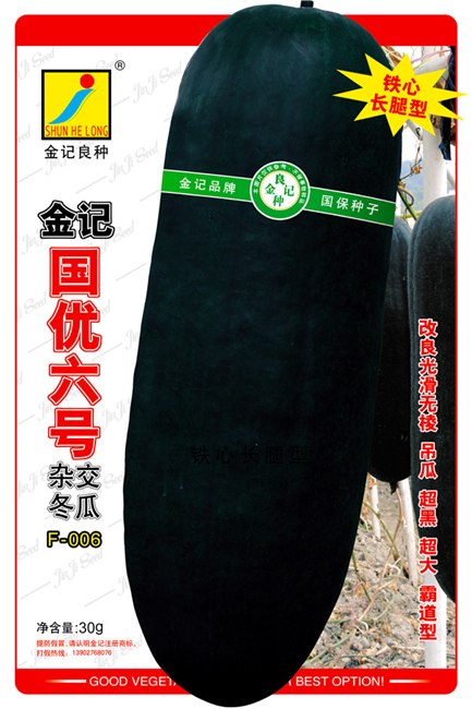 供应金记国优六号黑皮冬瓜种子