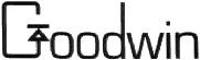 Goodwin止回阀GOODWIN双板式止回阀