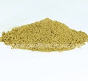 供应芫荽粉生产厂家