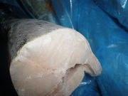 供应黑龙江批发海鲜冻品印度鳕鱼价格，鱿鱼筒