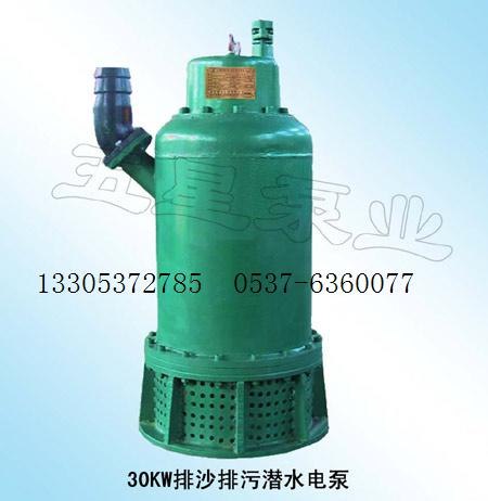 供应全心全意30 BQW矿用隔爆型排污潜水电泵