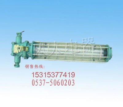供应专业品质矿用隔爆型荧光灯