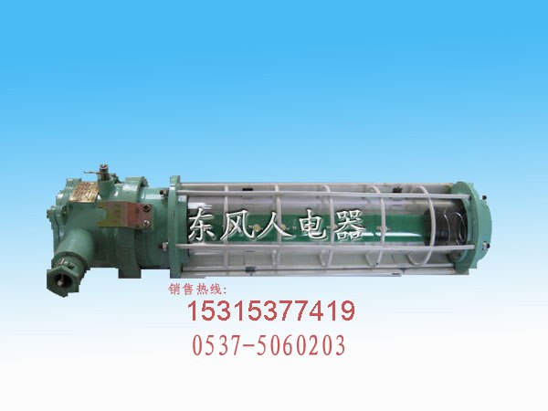供应品牌首选矿用隔爆型LED巷道灯DGS24/127L(A