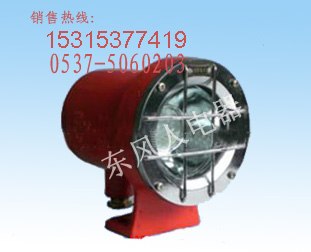 供应耐用矿用隔爆型机车灯DGS9/48L(A