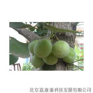 褪黑素增强免疫力,褪黑素防癌,褪黑素预防衰老,北京惠康源供应褪黑素