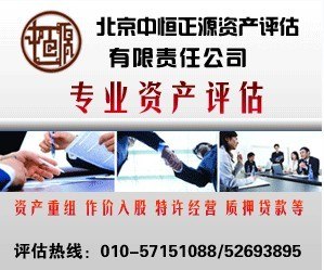 供应无形资产评估