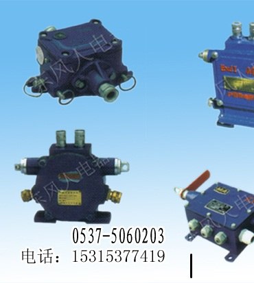 供应保修十年矿用带式输送机隔爆型双向急停开关