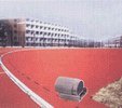 体育道牙