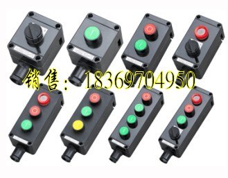 供应规格真多！BZA8050系列防爆防腐主令控制器