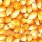 求购玉米、小麦、豆粕、麸皮、高粱、黄豆、油糠、次粉等饲料原料