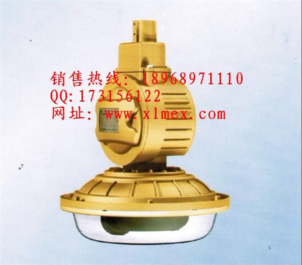 供应SBD1103免维护节能防爆灯