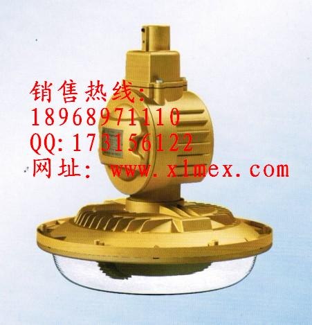 供应SBD1106免维护节能防爆灯