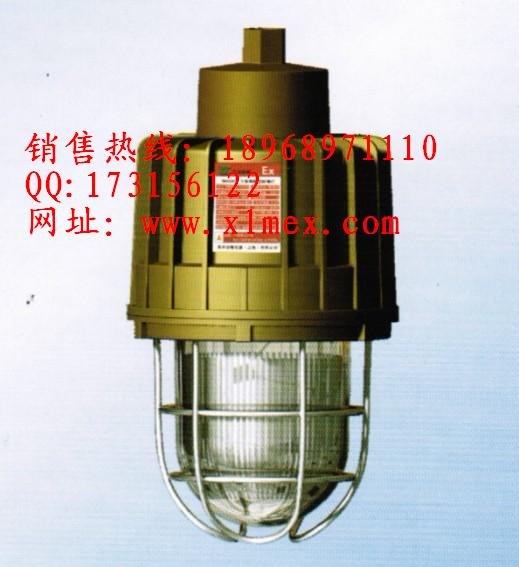 供应SBD3103防爆灯