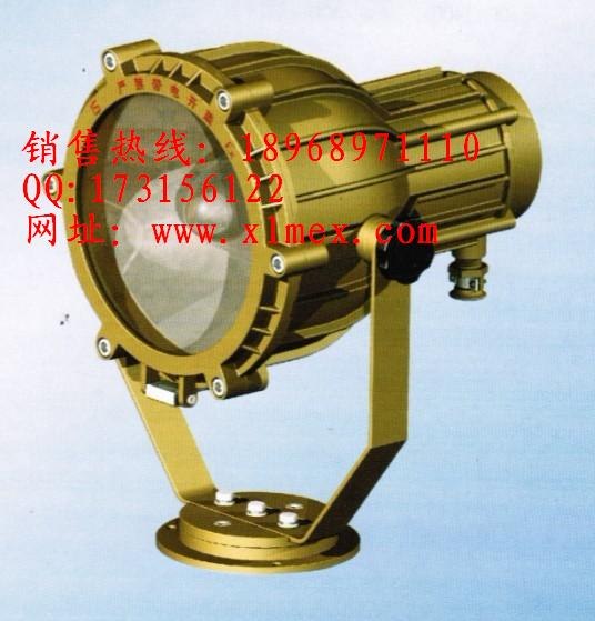 供应SBD3110防爆投光灯