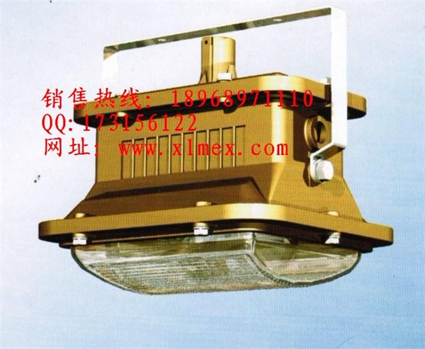 供应SBF6101免维护节能防水防尘防腐泛光灯