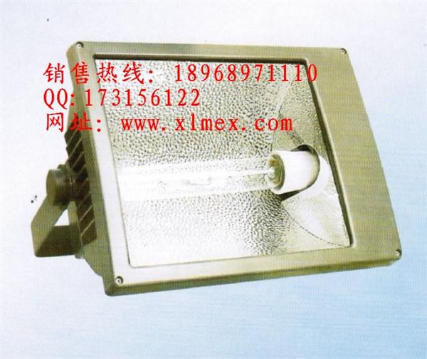 供应SBF6220防水防尘防腐泛光灯