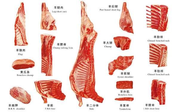 陕西冷冻食品批发羊肝羊肺羊舌供应商