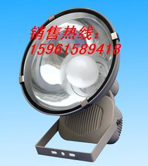 供应CNT9500型高亮度长寿无极灯厂商