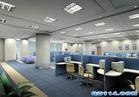 供应上海厂房吊顶隔墙松江区厂房装修青浦区办公楼装修硅钙板吊顶隔墙烤漆龙骨吊顶