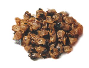 供应批发印度钻石，蓝月亮带鱼，鱿鱼嘴 