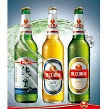 供应青岛批发供应珠江啤酒