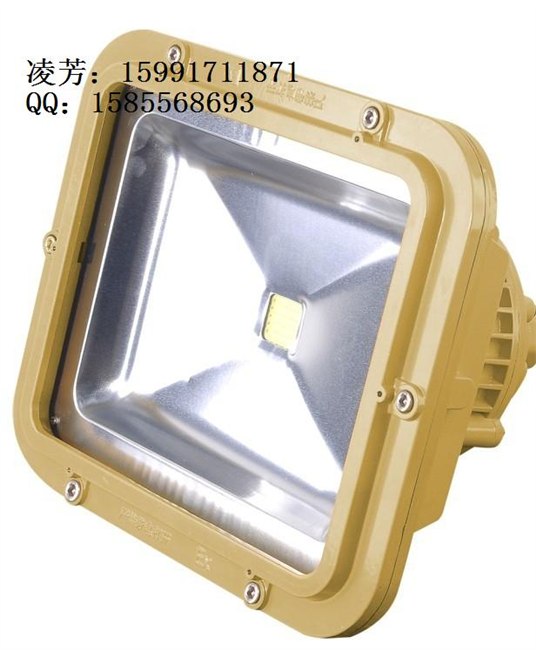 供应专业生产防爆灯LED防爆灯BAD808-F2报价表 LED防爆灯F2型电