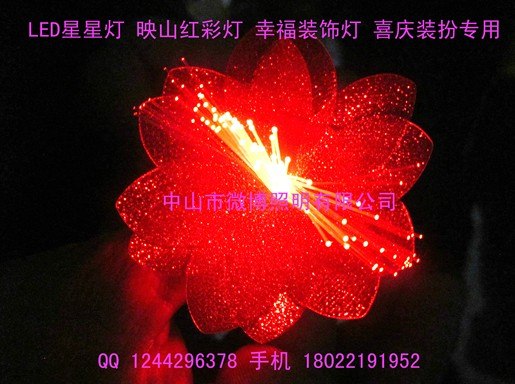 供应喜庆美化 LED彩灯 多色灯珠 LED灯带