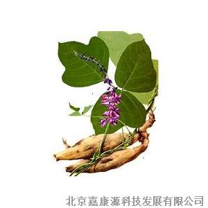 北京惠康供应葛根提取物,葛根提取物具有增加冠状动脉血流量,葛根提取物消除饥渴感