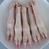 供应一手冷冻羊腰羊蹄羊蛋羊蝎子羔羊排