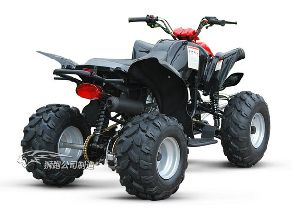 供应技术领先型110自动离合器沙滩车