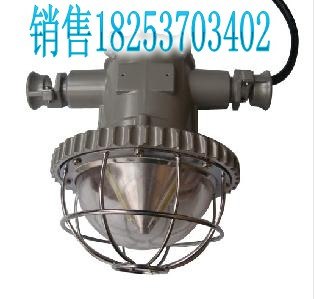 供应DGS矿用防爆巷道灯