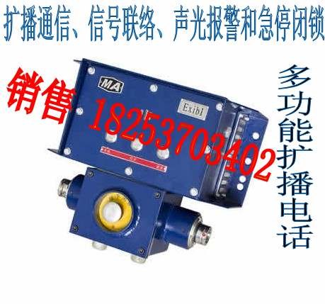 供应KTK110矿用本质安全型多功能扩播电话
