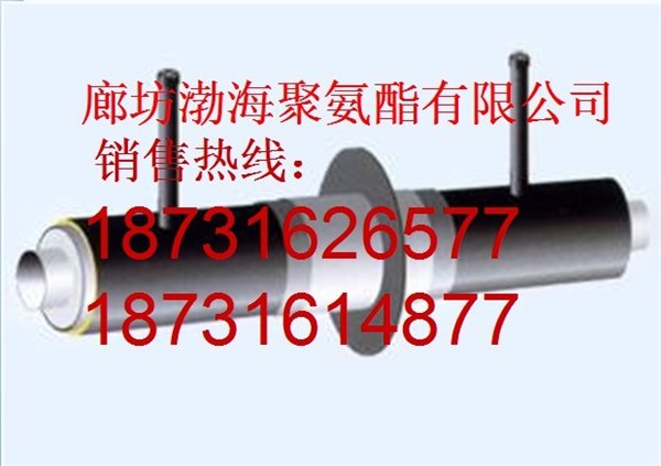 供应集中供热保温管道 高温直埋钢套钢保温材料