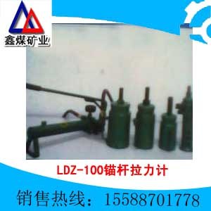 供应泰安正阳牌LDZ-100锚杆拉力计 