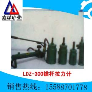 供应LDZ-300锚杆拉力计 
