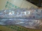 供应冷冻牛尾批发