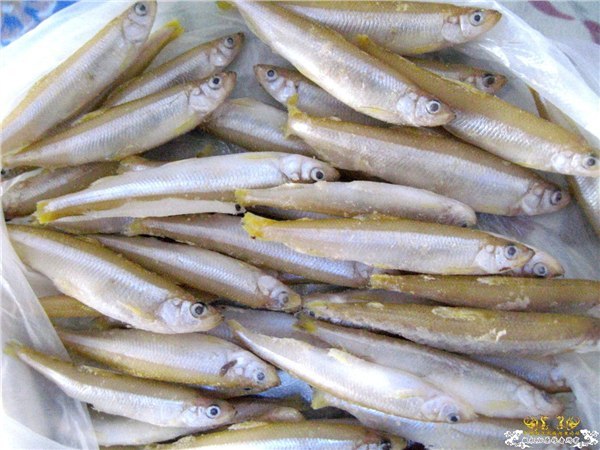 供应冷冻食品批发黄瓜鱼