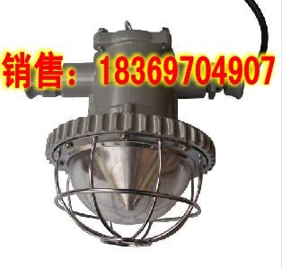 供应性能卓越！DGS18/127L矿用LED巷道灯，矿下巷道照明灯