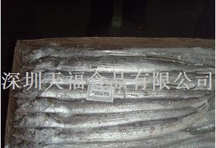 供应冷冻带鱼批发