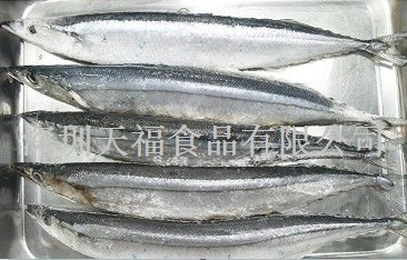 供应冷冻秋刀鱼批发
