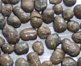 供应浙江陶粒浙江陶粒价格