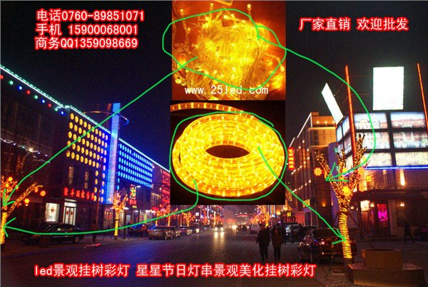 彩灯 灯串串灯led 婚庆装饰灯节日灯庭院LED 灯庭院花园灯景观灯