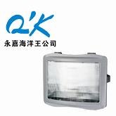 供应NSE9720防眩应急通路灯