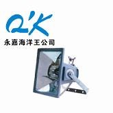 供应NTC9220外场强光投光灯