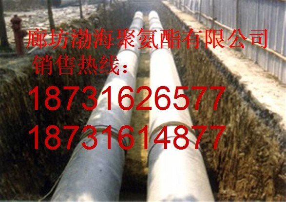 供应渤海聚氨酯直埋管 技术先进 实用性强